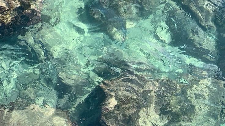 integratalk's tweet image. 