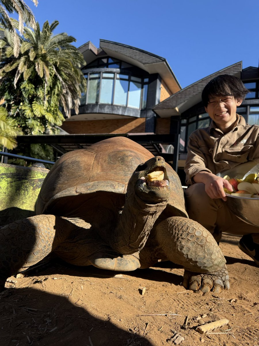 iZoo_iZoo_'s tweet image. 【小学生職場体験講座】を今年もiZoo では、
開催いたします‼️

\\夏休みの自由研究や思い出づくりに!//
iZooでは、飼育体験を行います🐢🐍🐊✨
7月24日（木）午前の部、午後の部
7月28日（月）午前の部、午後の部
の全4回開催予定です‼︎

詳しくはリンクをご確認ください！
taikensyokuba2025.pref.shizuoka.jp