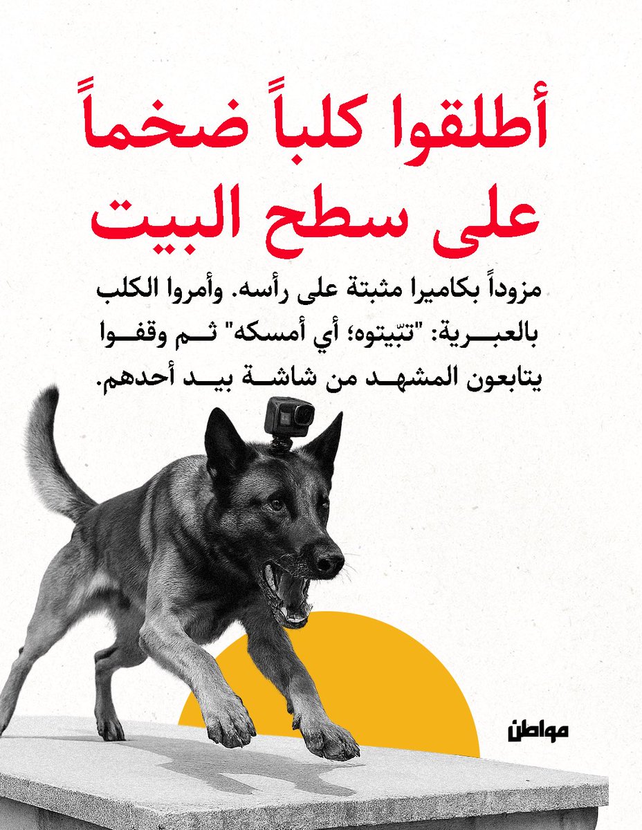 مواطن tweet media