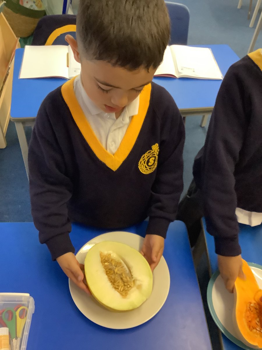 In Science, year 1 are learning about plants. We've explored where plants come from and the function of each part. We've also planted our own seeds and are excited to watch them grow.