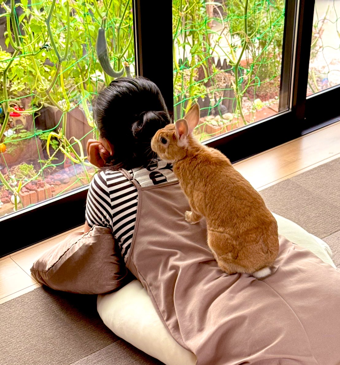 da_usagi54089's tweet photo. ダラダラ寝転がっていたら、カワイイ子が上に乗ってきた https://t.co/9EQb06ddBR