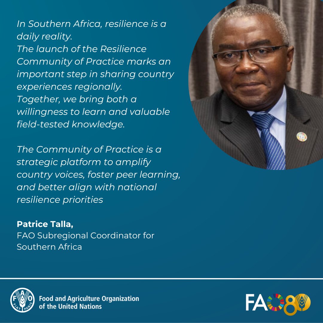 faosfsafrica's tweet photo. 🧠@FAOAfrica new #Resilience  #Community_of_Practice is connecting African country teams🌍to share solutions, scale local good practices  into evidence-based resilience programming

@PatriceTalla👉Field knowledge is now driving regional impact

Read more📲https://t.co/eGxRk0wQ2C https://t.co/7f4Wfnile5