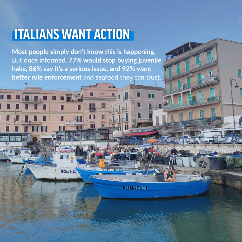 OceanaEurope's tweet photo. 📢A new investigation by @OceanaEurope, @SeaShepherdIt, @Altroconsumo &amp; @consumidores reveals an  extensive illicit sale of juvenile hake in Italian ports. 

📉 91% of trawlers checked broke EU rules  
📊 86% of surveyed consumers see this as a serious problem 

 More ⤵️