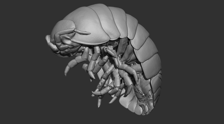 日本ビジュアルサイエンスさん<a href="/NVS3D/">3D画像解析の匠 NVS</a>⁩ にご協力いただき、ダンゴムシのSTLデータを入手する事ができました。
小型のCTスキャン装置を社内に備えており、個人でも撮像依頼可能との事です。
いただいたデータを観察すると、脚の付け根の独特な構造がオオグソクムシと同じなのにはびっくりしました。