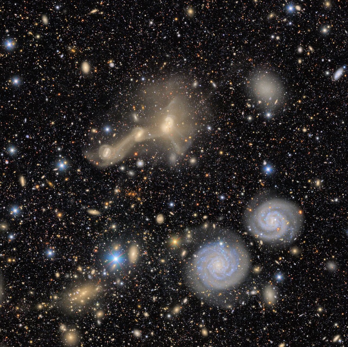 The first images from the NSF–DOE Vera C. Rubin Observatory (<a href="/VRubinObs/">NSF-DOE Rubin Observatory</a>) are here, and they are breathtaking!

This spectacular image shows only a small corner of total view of the Virgo Cluster, 55 Mly away. 

Visible are two notable spiral galaxies (NGC 4411b, left; NCG 4411a,