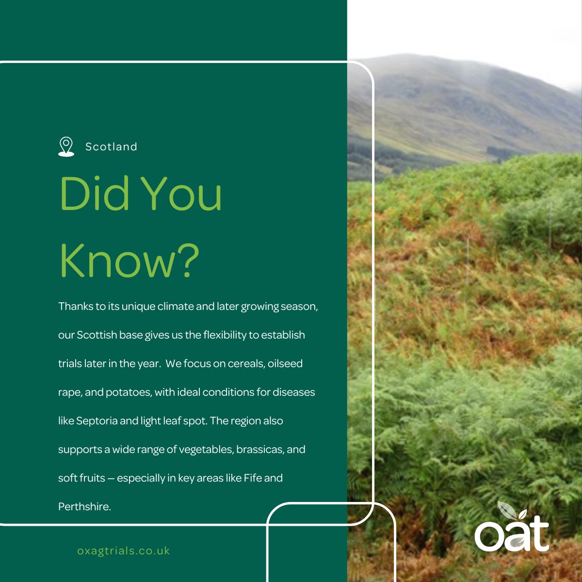 Oxford Agricultural Trials tweet media
