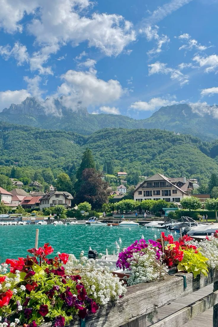 So beautiful day Good morning 😍🤩😘🍀☘🌿🌳🍁🌱