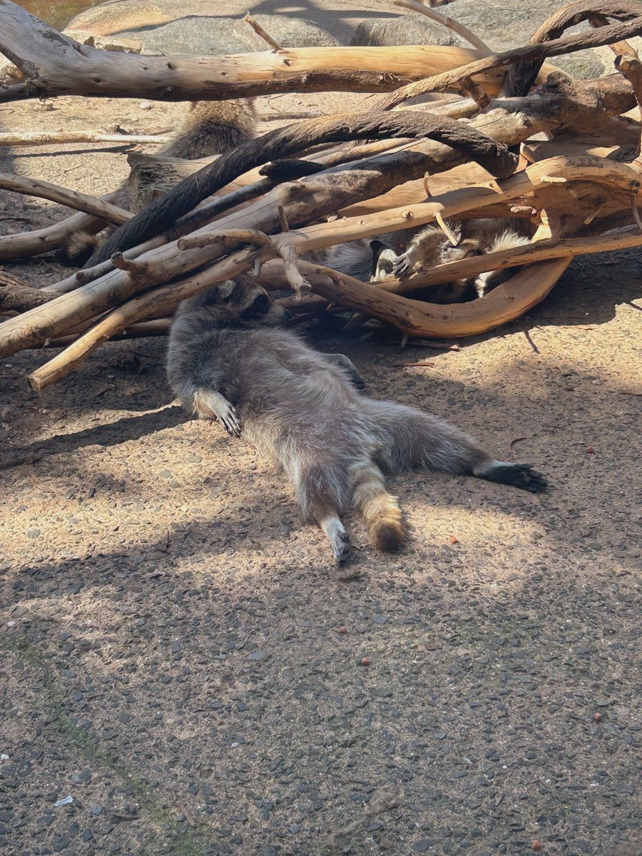 最近ほんま暑いよなー🥵
#写真好きと繋がりたい
#写真撮ってる人と繫がりたい