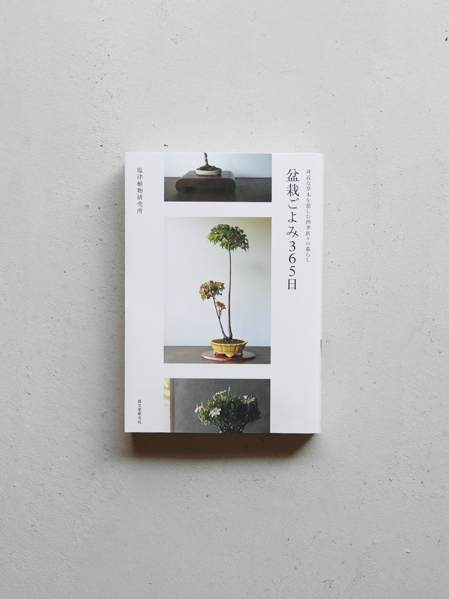 There There Ltd. tweet media