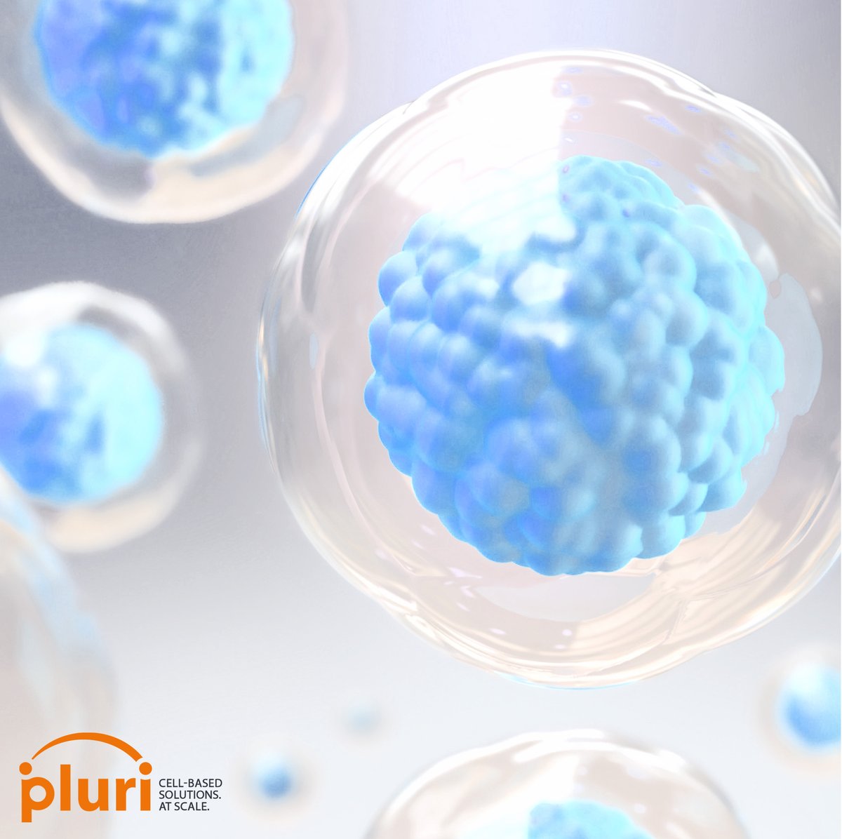 Pluri (@pluribiotech) on Twitter photo Our cells are blue and white
At Pluri, innovation flows through us like it does through this country—resilient and full of hope. 
Because in Israel, strength isn’t just in our spirit—it’s in every cell. Wishing for quieter days, and for good news on every front.
#Resilience #Hope Our cells are blue and white
At Pluri, innovation flows through us like it does through this country—resilient and full of hope. 
Because in Israel, strength isn’t just in our spirit—it’s in every cell. Wishing for quieter days, and for good news on every front.
#Resilience #Hope