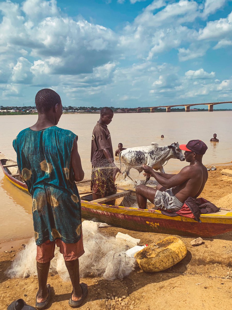 BUSINESS OF THE WATERS
 
The Benue River is not just a historic landmark; it serves as a vital lifeline for the local community. Over the years, it has become an essential source of income for the people of Benue. 

#benue