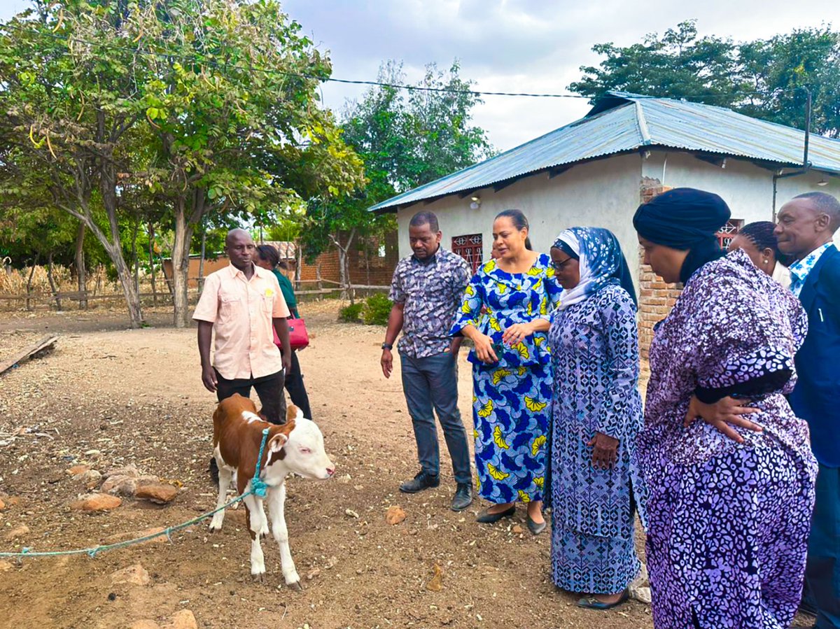 GenEqualityTZ's tweet photo. The National Advisory Committee of the Generation Equality Forum (GEF) visited various projects that showcase Gender Equality Program in Iringa Region.

The Committee visited projects managed by  women youth, and people with disabilities, and economic empowerment platforms. https://t.co/So53ZXoNB2