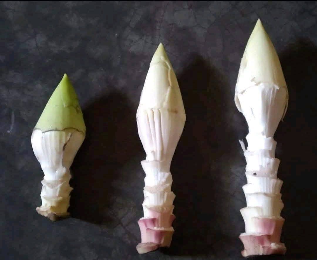 তৃতীয় বিশ্বযুদ্ধের জন্য প্রস্তুত আমরা