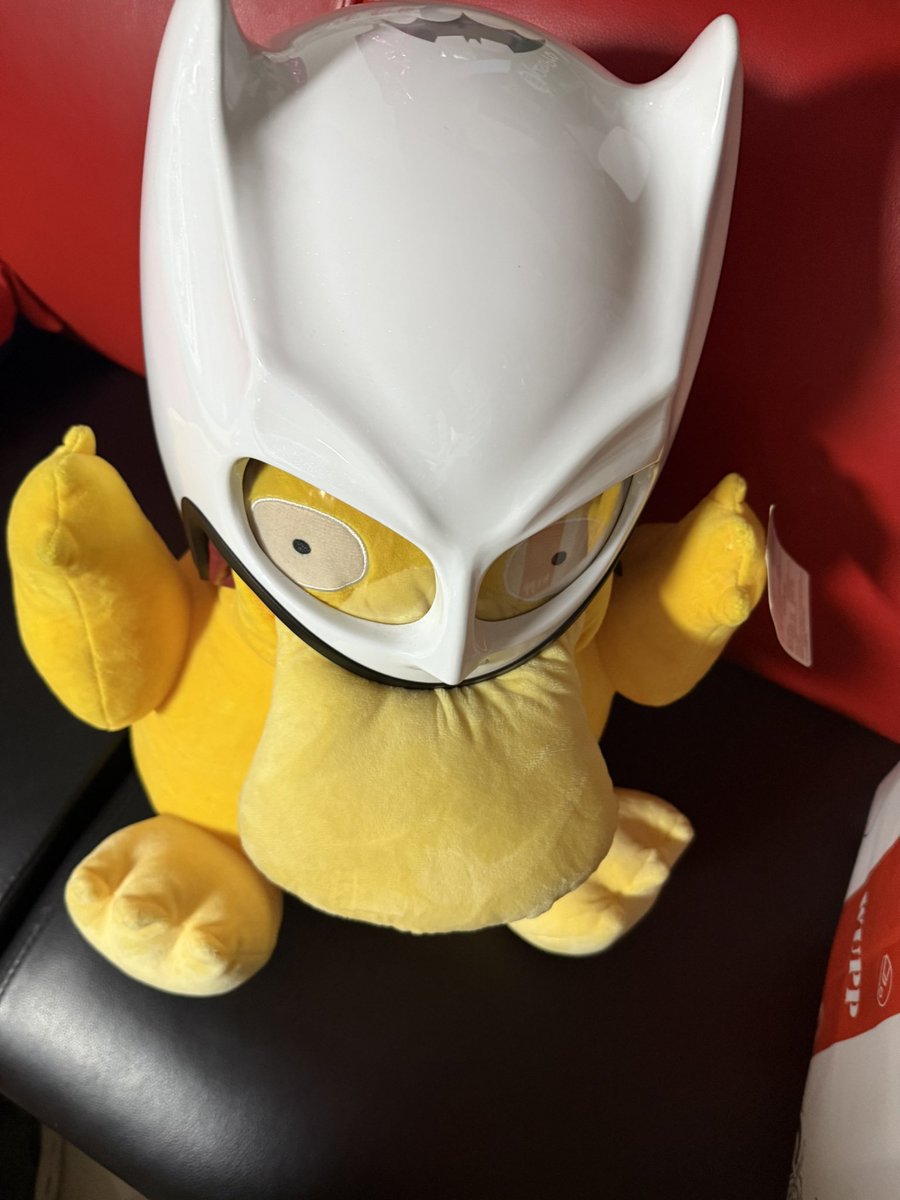 バットマンヘルメット⛑️
くちばしが邪魔して上手く被れない〜
#バットマン #コダック #バットマンヘルメット