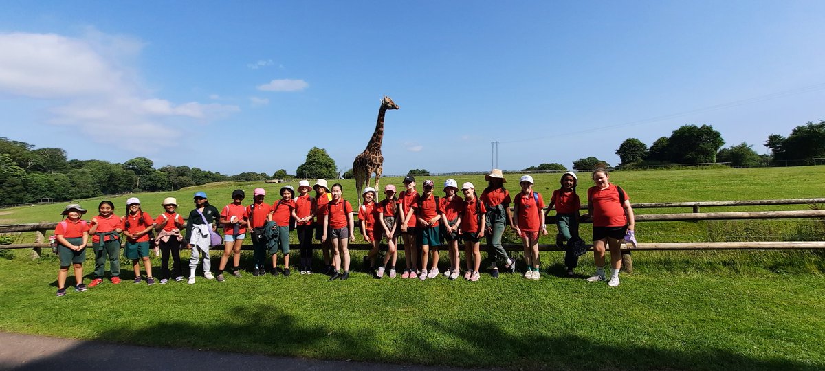 What a super day out for our two 3rd classes at Fota! @fotawi