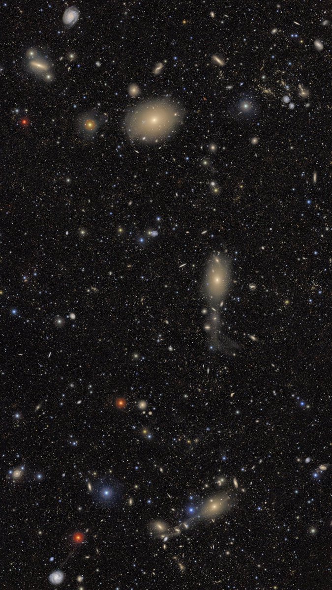 Porca puttana!
Rifetevi gli occhi, terrestri!
PAZZESCO!

Queste sono le prime immagini rilasciate dell'Osservatorio Vera Rubin.

L'immagine originale è 40.000×21.047 pixel.

Praticamente ogni pixel è una stella o una galassia.

PRATICAMENTE OGNI PIXEL.

Continua sotto 1/4👇