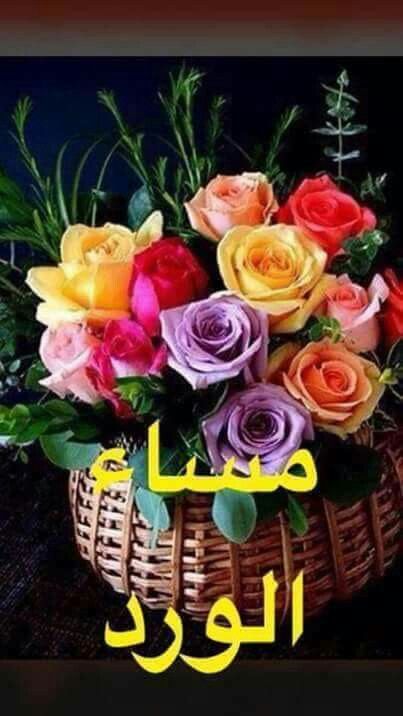 Samer ‏سامر tweet media