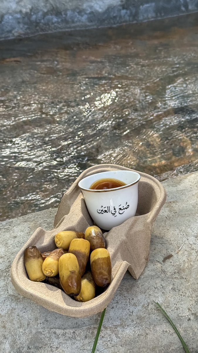 kh_vv7's tweet photo. أينعت العين بثمارها 🌴 https://t.co/8xH1tkNjSr