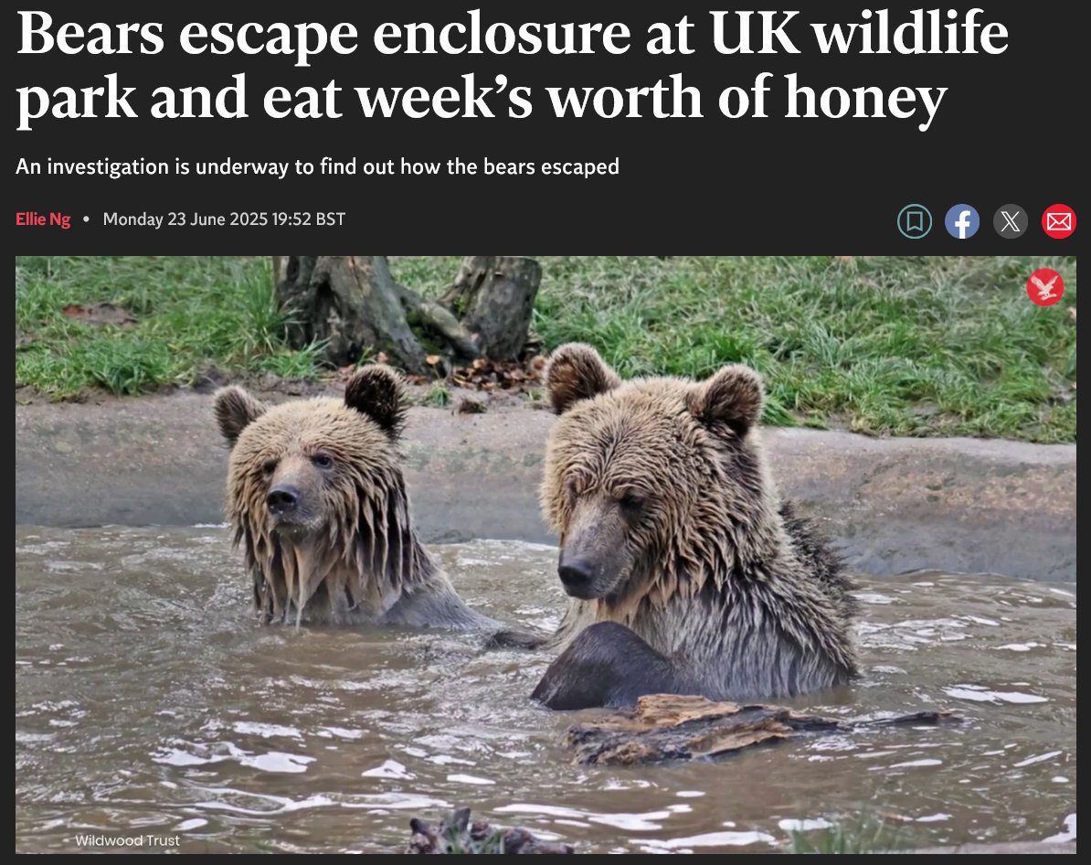 This is the headline I needed this morning 😁
independent.co.uk/news/uk/home-n…