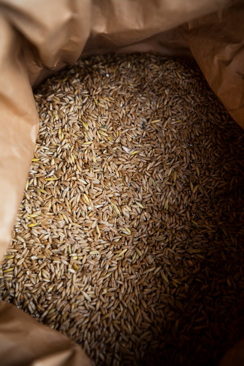 Agro Paris Bourse (@agroparisbourse) on Twitter photo 📉 <a href="/FranceAgriMerFR/">FranceAgriMer</a> : campagne 2024-2025 des céréales bio sous tension
🔹 -12,6 % de surfaces cultivées
🔹 -41 % de collecte attendue
🔹 Stocks en baisse : -32 %
🔹 Reprise modérée en meunerie & alimentation animale
🔹 Davantage de semences de ferme 📉 <a href="/FranceAgriMerFR/">FranceAgriMer</a> : campagne 2024-2025 des céréales bio sous tension
🔹 -12,6 % de surfaces cultivées
🔹 -41 % de collecte attendue
🔹 Stocks en baisse : -32 %
🔹 Reprise modérée en meunerie & alimentation animale
🔹 Davantage de semences de ferme