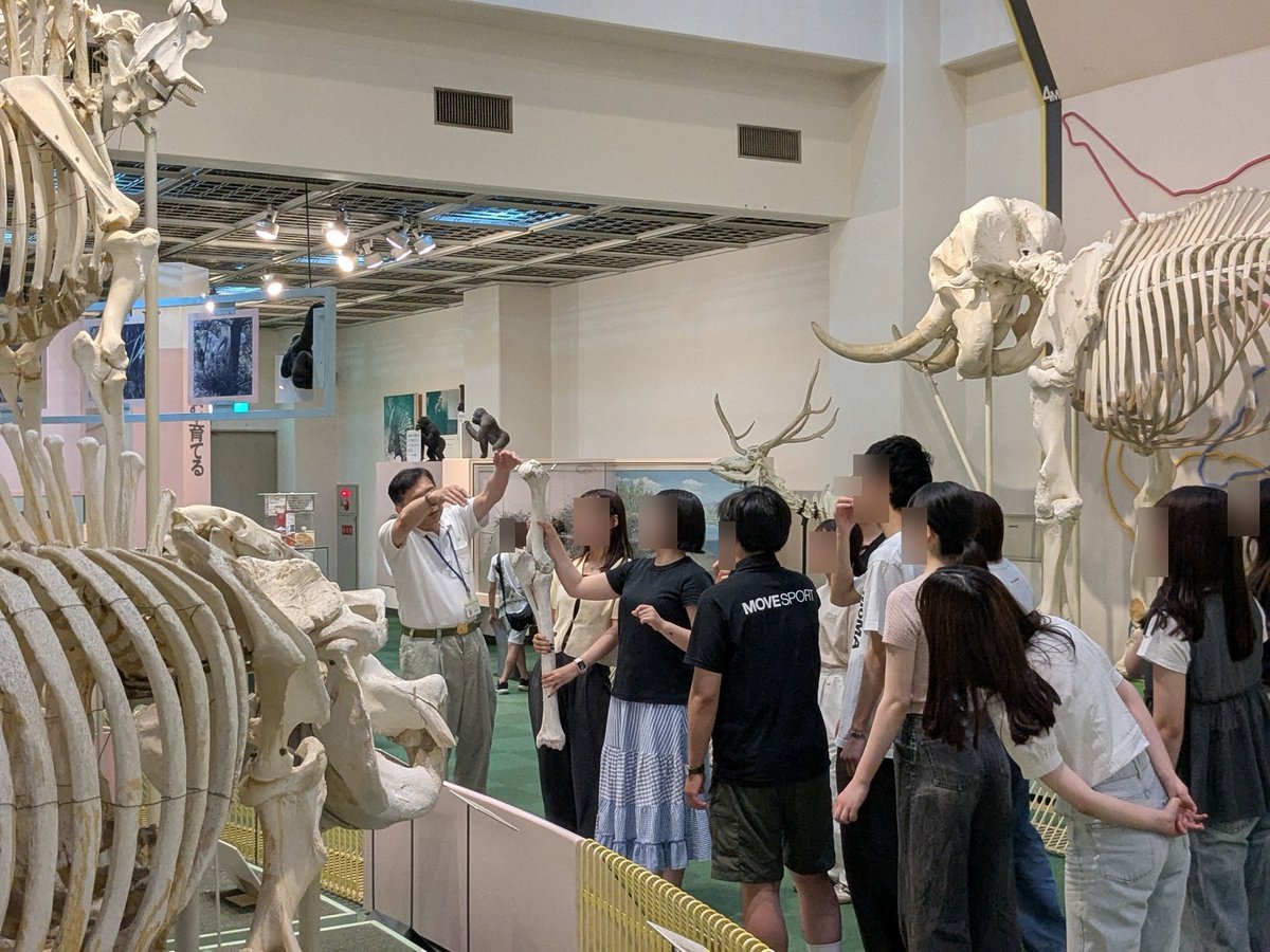 ゼミで神戸市立王子動物園の動物教室を受講しました。子ども達に生き物の多様性をわかりやすく伝える方法を学びました。また、様々な標本を見せてもらったり、生き物を触らせてもらえたり、大変有意義な内容でした。ご講演いただいた先生に心から感謝いたします。
#神戸市立王子動物園 #動物教室