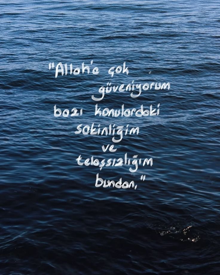 ayaserenat's tweet photo. https://t.co/liWoIkbZ6i
