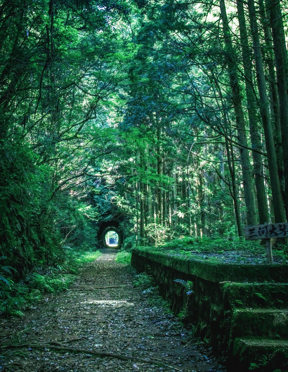 異世界に迷い込んだ夏の午後。
