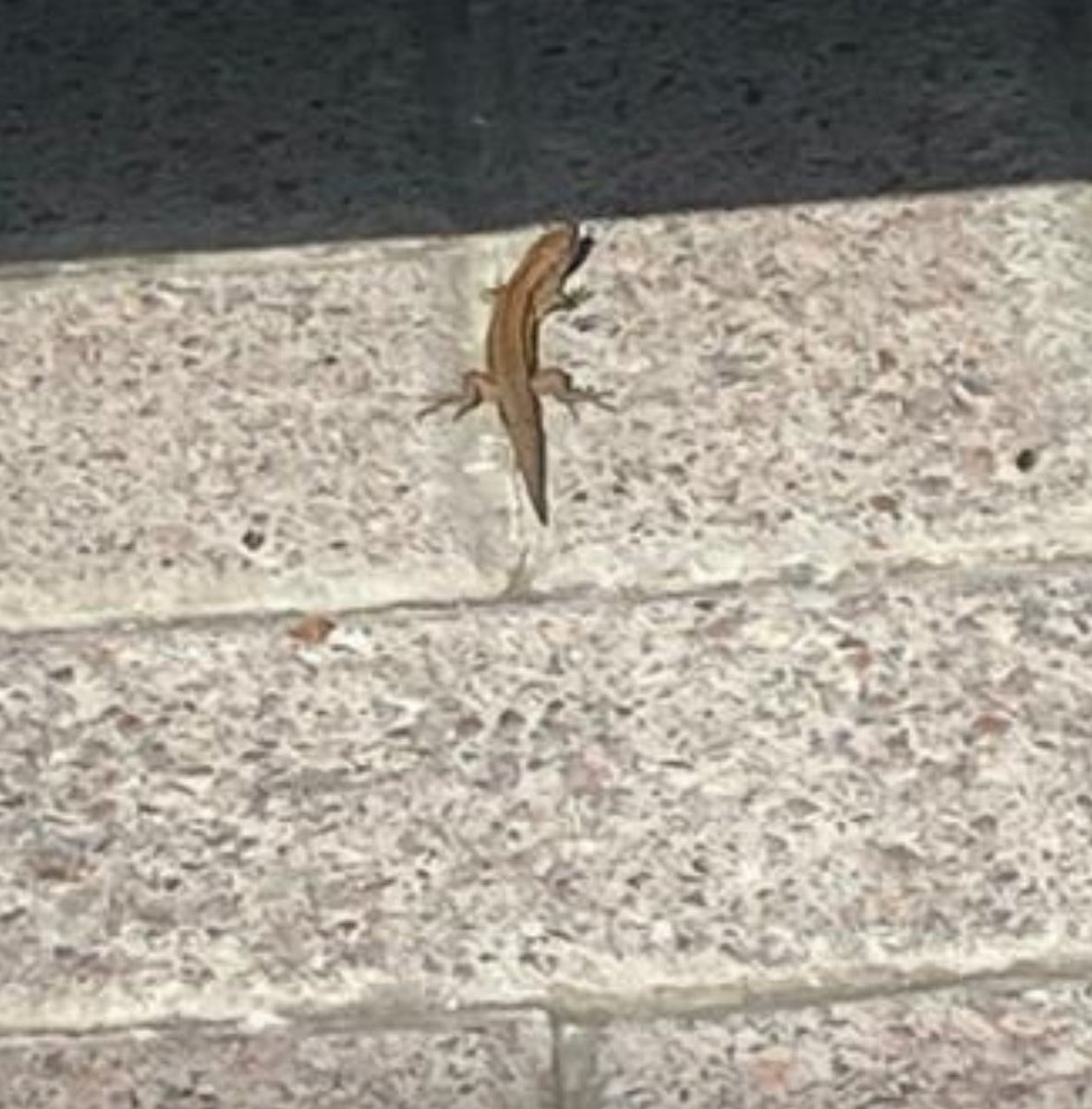 Matt Burden tweet media