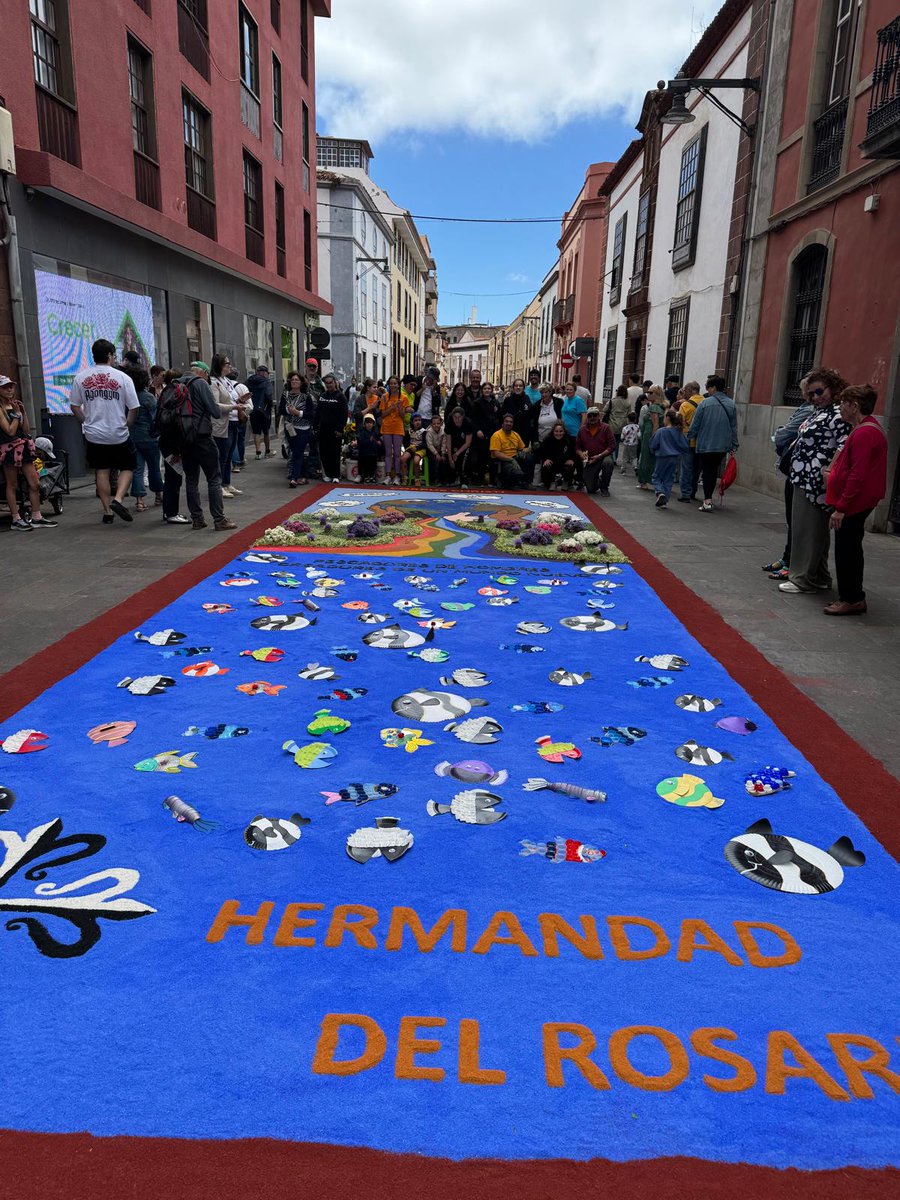 Alfombras de las Hermandades laguneras en el  Corpus Christi