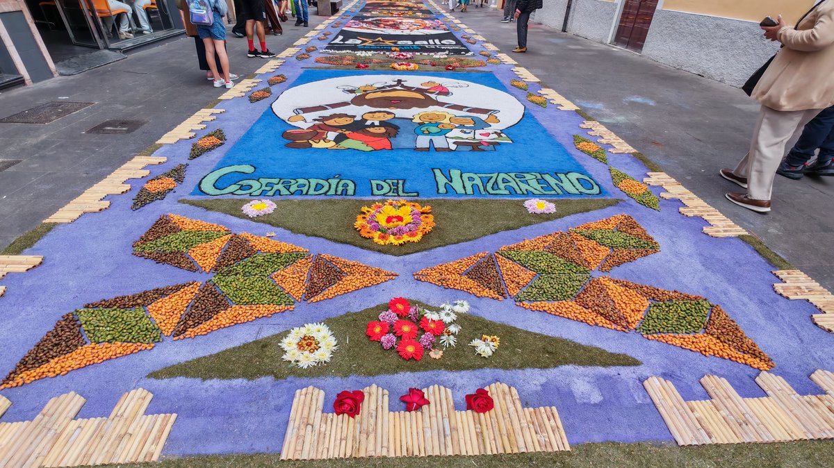 JHCLaLaguna's tweet photo. Alfombras de las Hermandades laguneras en el Corpus Christi https://t.co/7W27bePsCg