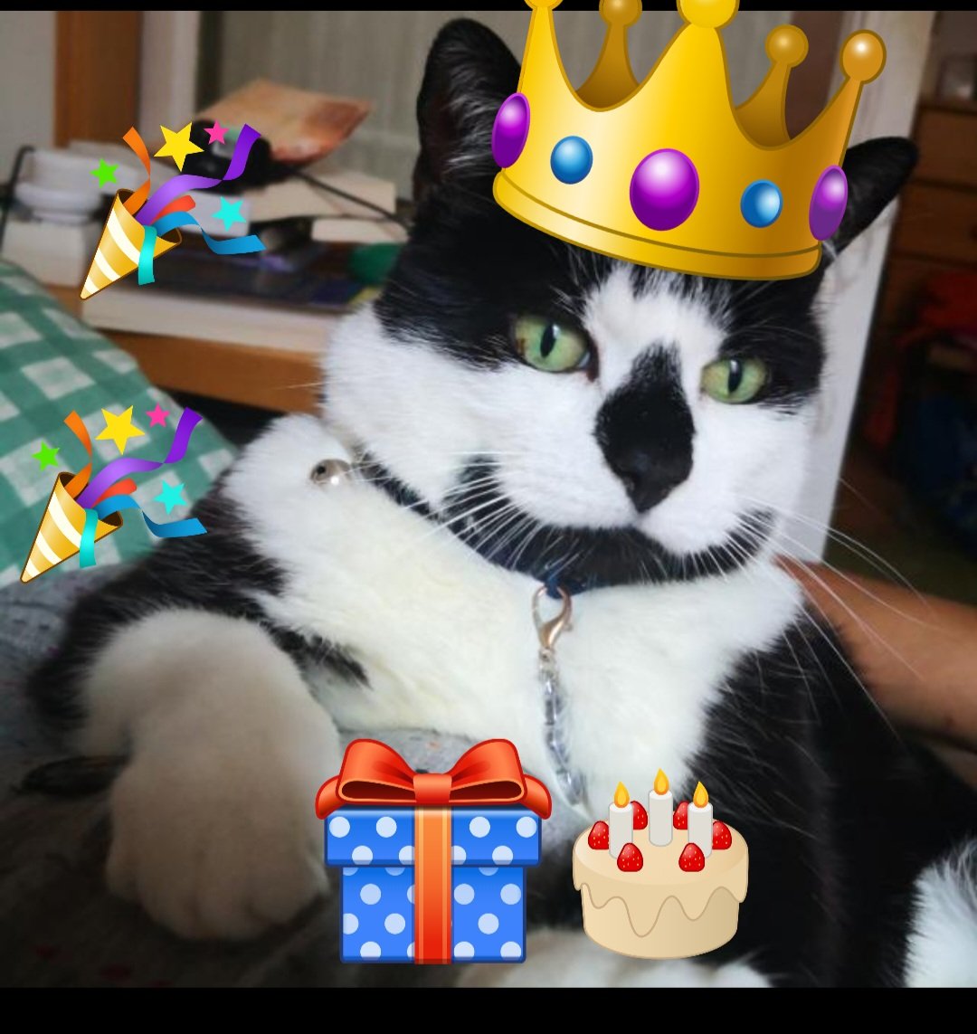 Baba, Nalu & Sanji tweet media