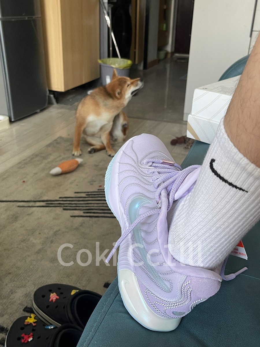 Cc1lll（原创互推） tweet media