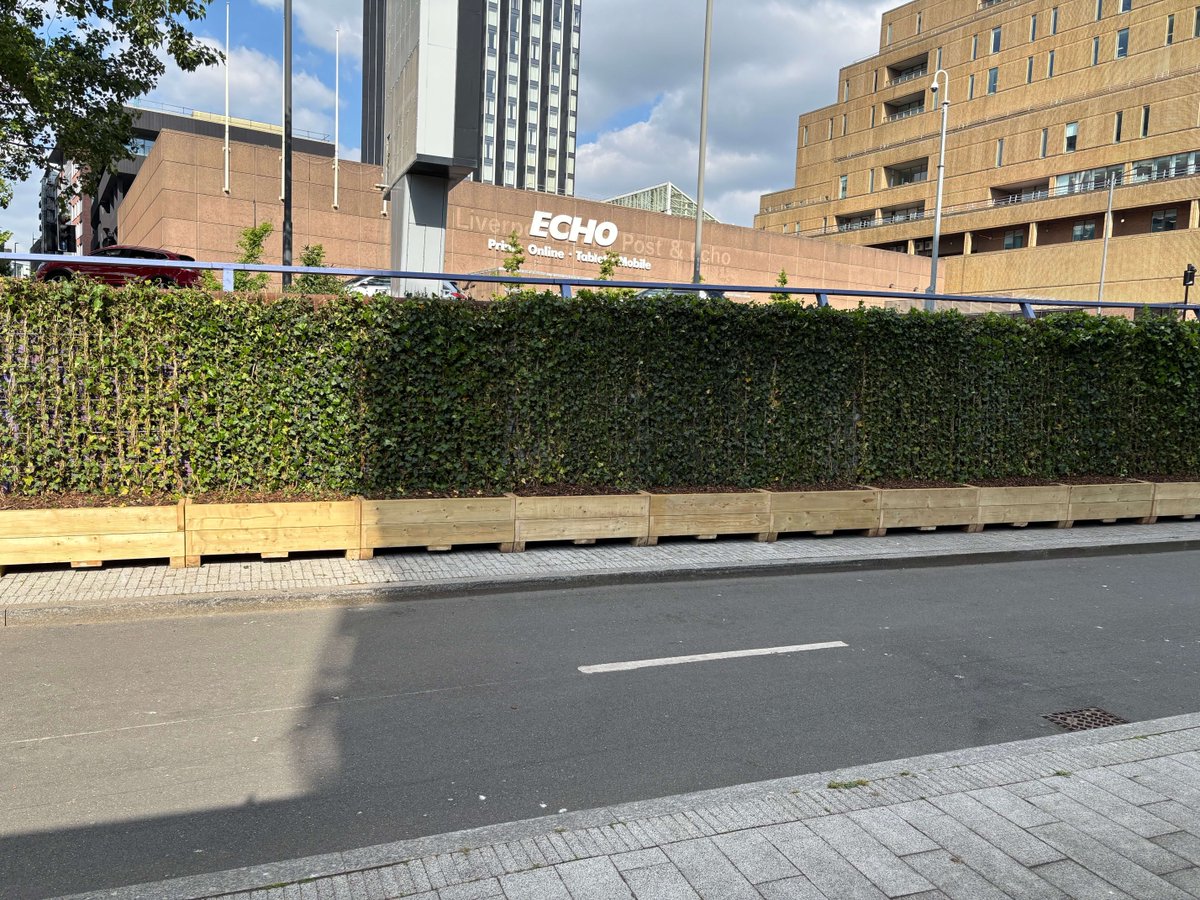 MeristemDesign's tweet image. From grey to green 🌿
A graffiti-covered wall on Bath Street is now a lush green walkway thanks to 30m of green screens we installed with @lpoolcouncil.
Funded by @ClimateKIC , this project supports:
✅ Cleaner air
✅ More biodiversity
✅ Better journeys by foot & bike
