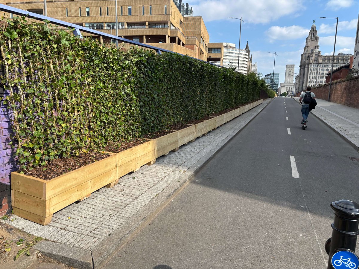 MeristemDesign's tweet image. From grey to green 🌿
A graffiti-covered wall on Bath Street is now a lush green walkway thanks to 30m of green screens we installed with @lpoolcouncil.
Funded by @ClimateKIC , this project supports:
✅ Cleaner air
✅ More biodiversity
✅ Better journeys by foot & bike