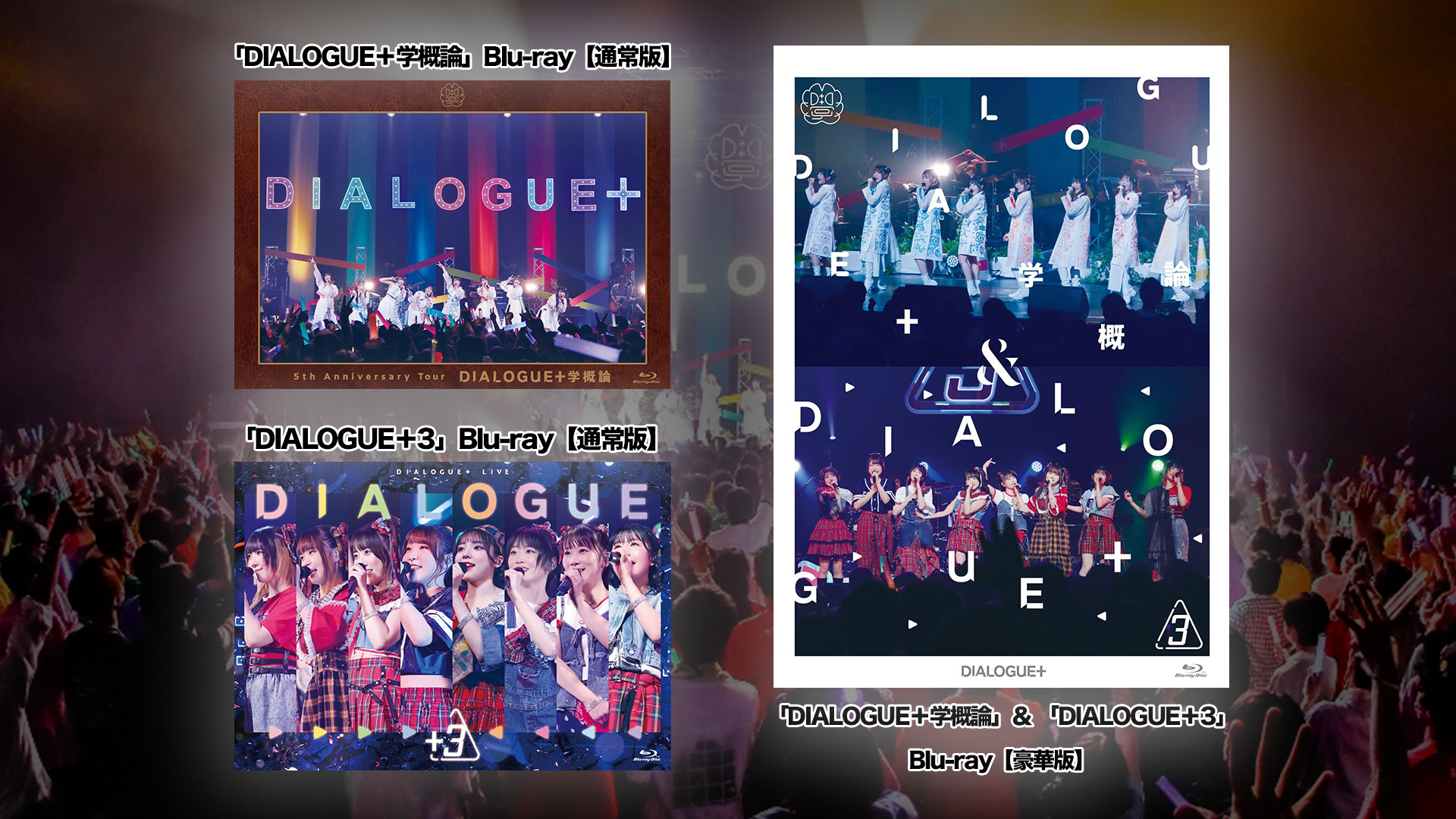 DIALOGUE+ ラッフル　セットB 稗田寧々 稗田寧々 on X: 
