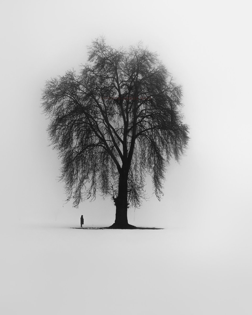 Akruidhof00's tweet image. #Solitaire