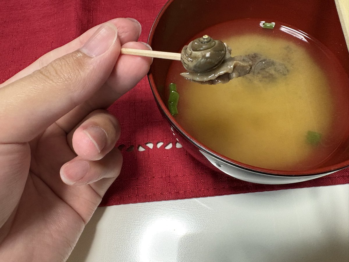 Soda_Limer's tweet photo. 伝統的な琉球料理の一つ
カタツムリの汁物(ちんなんじる)を作って食べました。

ひぇぇと思いながら作ったけど、食べてみるとあらびっくり貝で美味しかったです。

なお、道連れは530さんです。
@530_GOSAMARU https://t.co/svoDEWWT6R