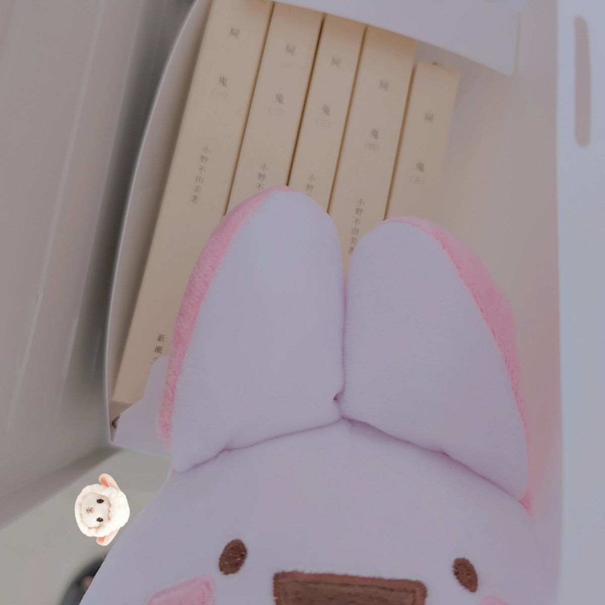 giuniu0's tweet image. 屍鬼の表紙怖いから取ってしまってたんだけど
整理してる時にふいに出てきてやっぱり怖かった