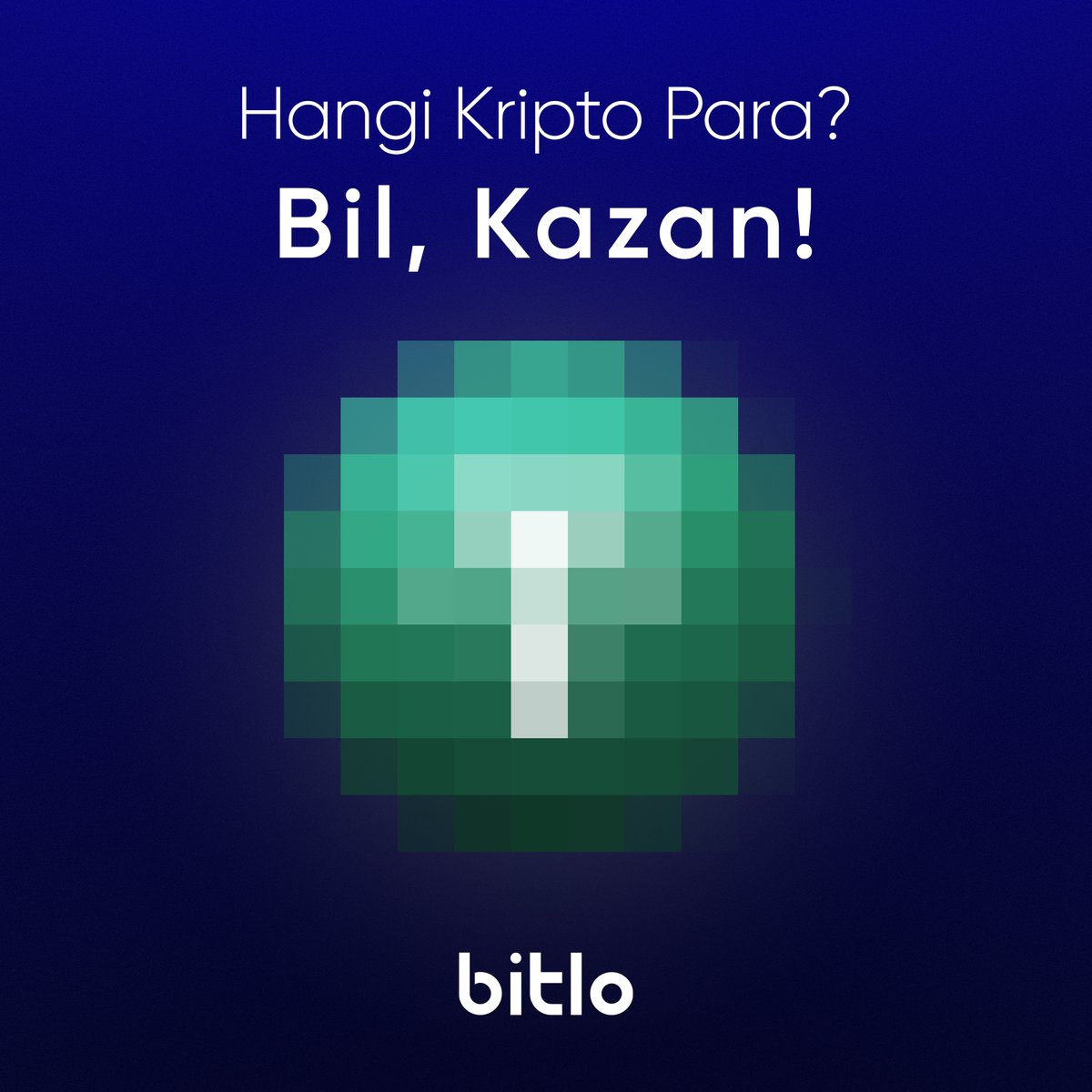 bitlocom tweet picture