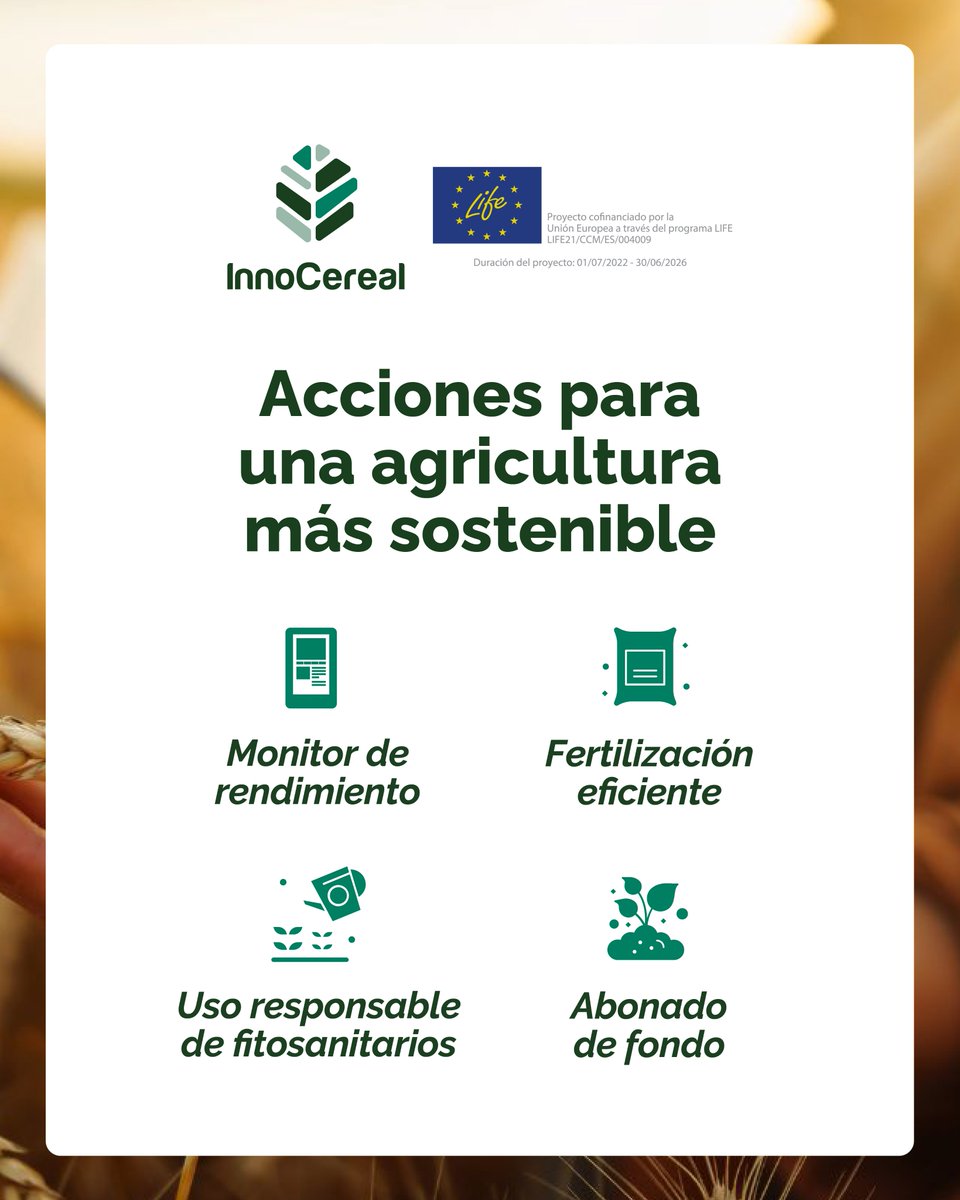 Life_Innocereal's tweet image. 🔍 ¿Sabías que...?
Las Buenas Prácticas Agrarias permiten reducir las emisiones de gases de efecto invernadero en cultivos como el trigo y la cebada
¡Descubre cómo aplicarlas! 👉 uco.es/investigacion/…
#BuenasPrácticasAgrarias #LIFEInnocerealEU @LIFEprogramme