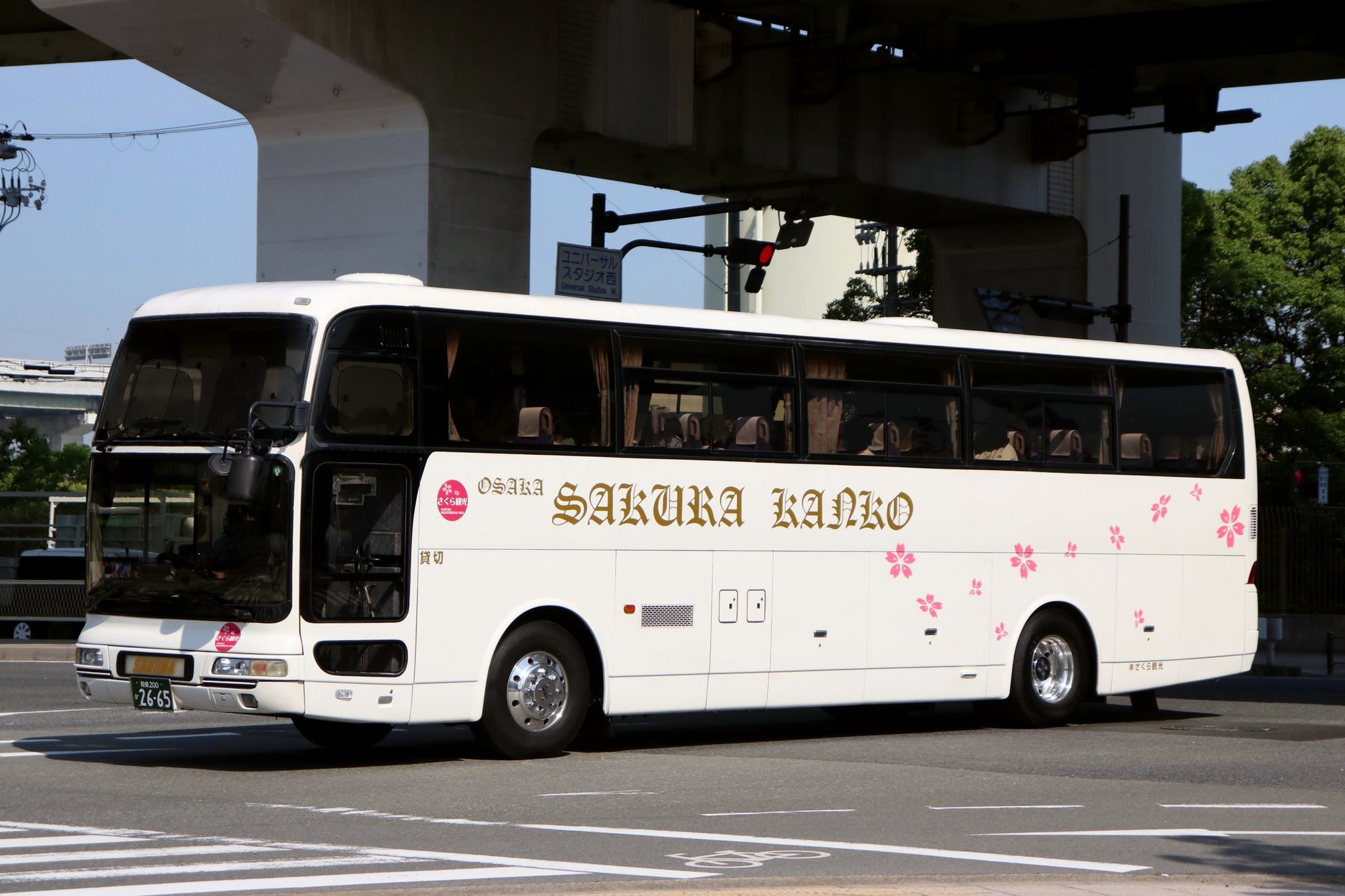 楽天市場】【夏ギフト】えごまたまご 6個入り×2P【卵/母の日/父