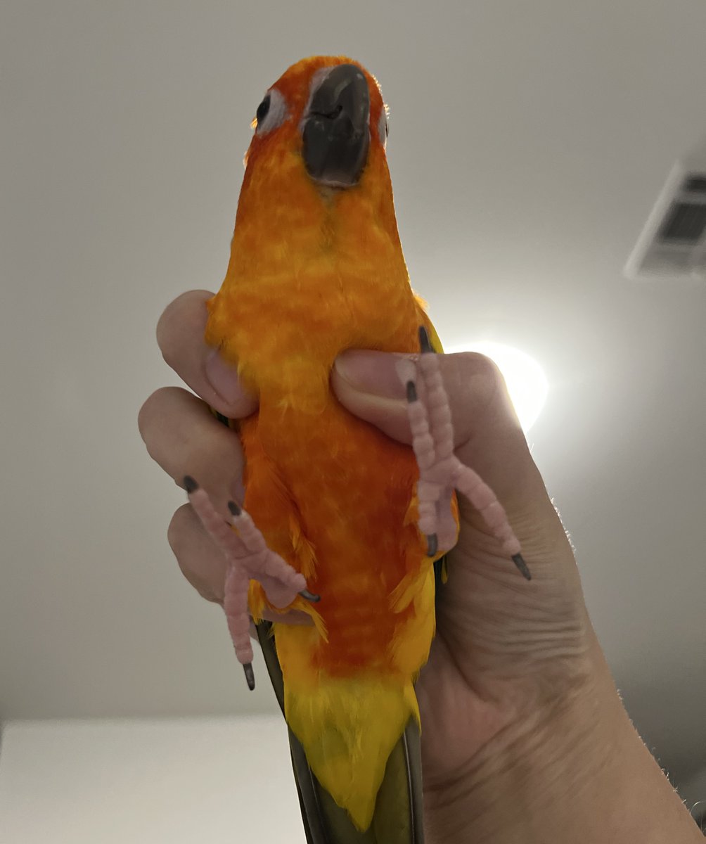 어떻게든 살아지고 있습니다!
야근하고 얘네 보며 충전 중🧡
6월 달 내내 바빠서 7월만 바라보고 있어욬ㅋ