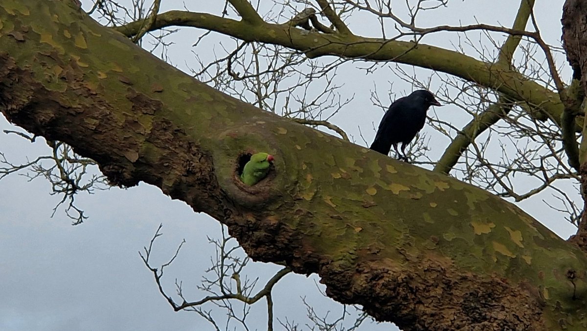 <a href="/DailyPicTheme2/">Daily Picture Theme</a> Today’s theme is ‘Q/X/Y/Z Anything'

<a href="/DailyPicTheme2/">Daily Picture Theme</a>