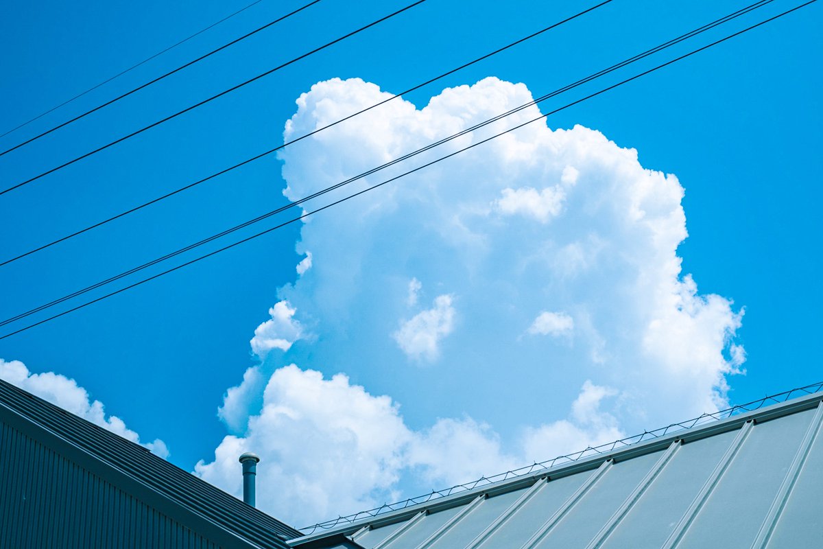 photo_okina's tweet image. 夏雲コレクション