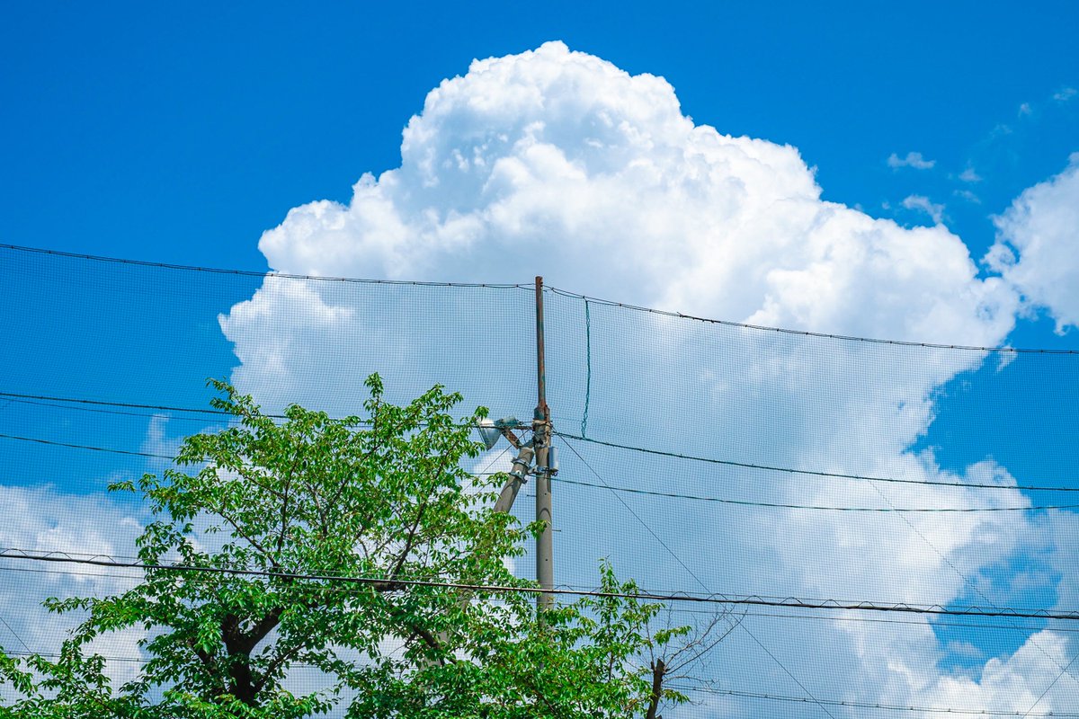 photo_okina's tweet image. 夏雲コレクション
