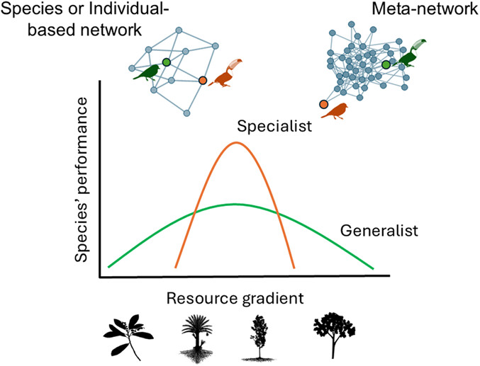 The scaling of seed-dispersal specialization in interaction networks across levels of organization vist.ly/3n7nvsz #Macroecology #MetaNetwork