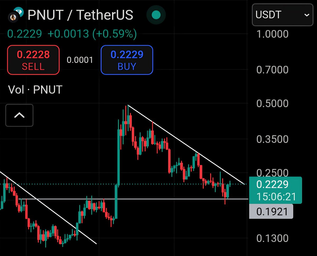Gem_Sheriff's tweet photo. Bidding more for $PNUT 🥜🐿 this week! Early SHIB vibe!

It looks ready for next leg! Send it!🔥🚀 https://t.co/lPl9oNoBFX