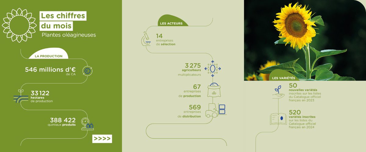 💡 Les chiffres du mois

🌻500 : c’est le nombre de variétés d’oléagineux inscrites au catalogue français : colza, tournesol, soja, lin, chia, caméline… Une filière stratégique 🇫🇷 portée par 21 sélectionneurs, 900 entreprises, 3 500 multiplicateurs.

#Semences #Agriculture