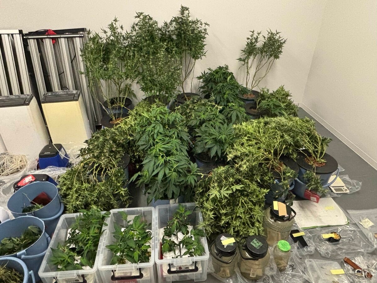 めんだこ＠適度に療養中 (@mendako2021)  X