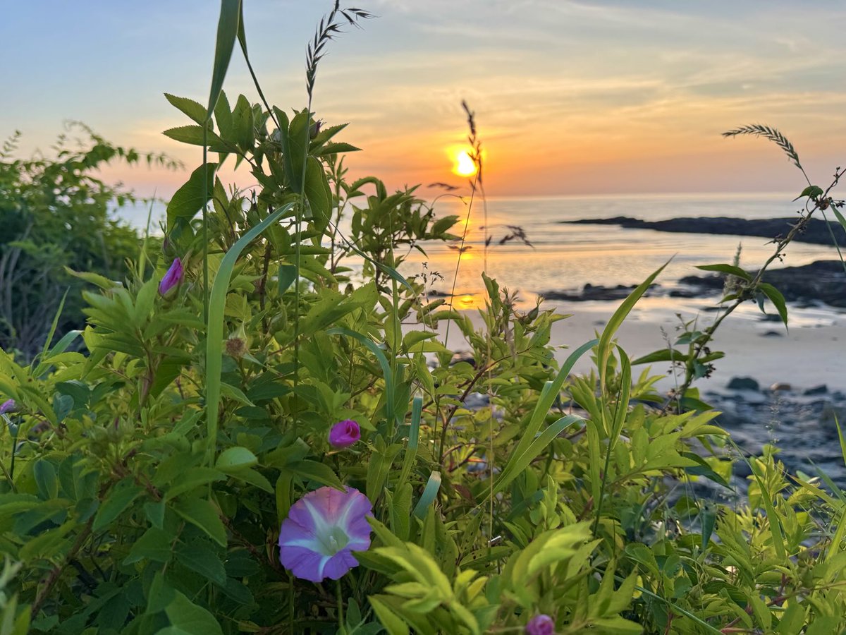 rick03907's tweet photo. Morning glory #ogunquit #maine @Todd_Gutner @SharonRoseNCM @TVLeeG @RyanBretonWX @danaosgoodwx @StormHour @newscentermaine https://t.co/fshem9VnIz